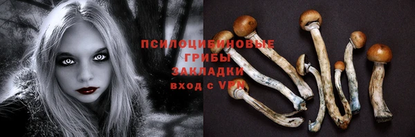 метадон Аркадак